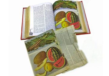 Реставрация книг